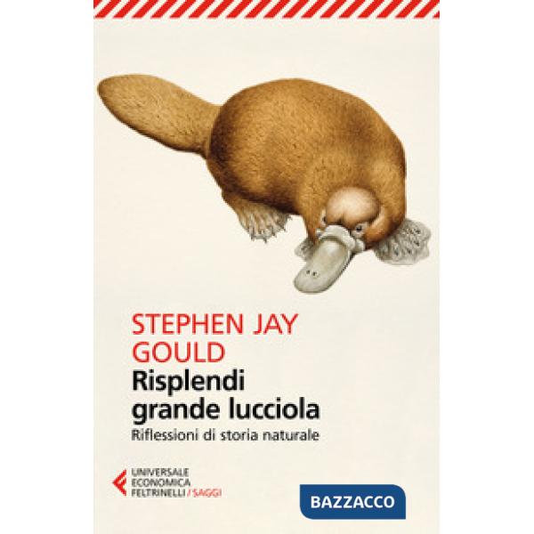 Risplendi grande lucciola. Riflessioni di storia naturale