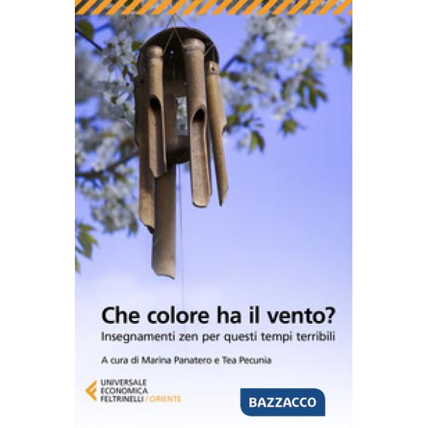 Che colore ha il vento? Insegnamenti zen per questi tempi terribili