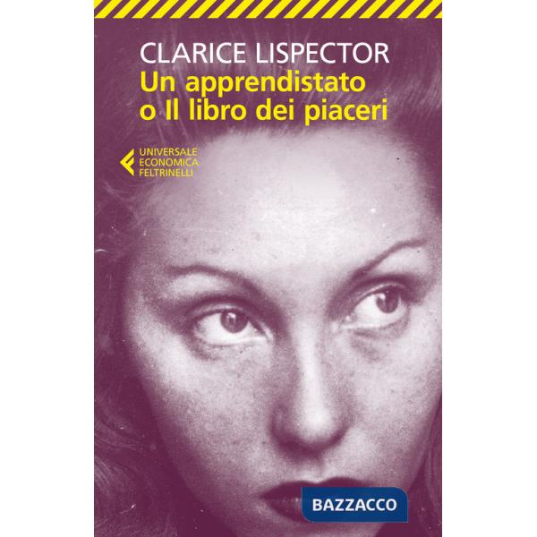 Apprendistato o il libro dei piaceri (Un)