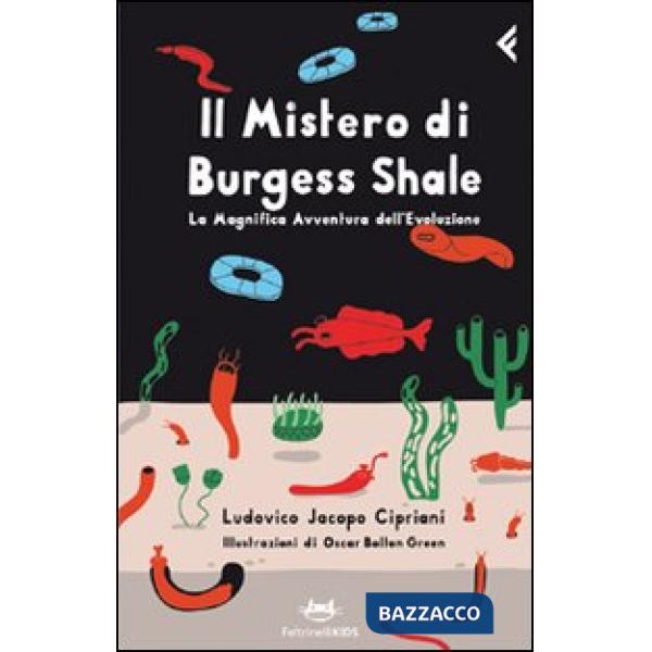 Mistero di Burgess Shale. La magnifica avventura dell'evoluzione (Il)