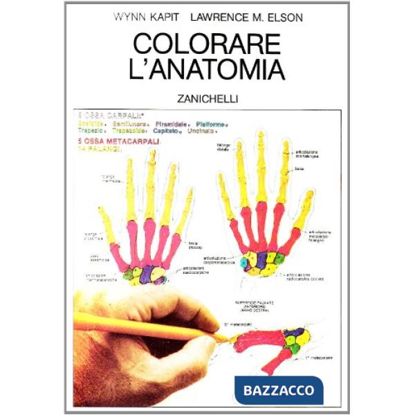COLORARE L'ANATOMIA