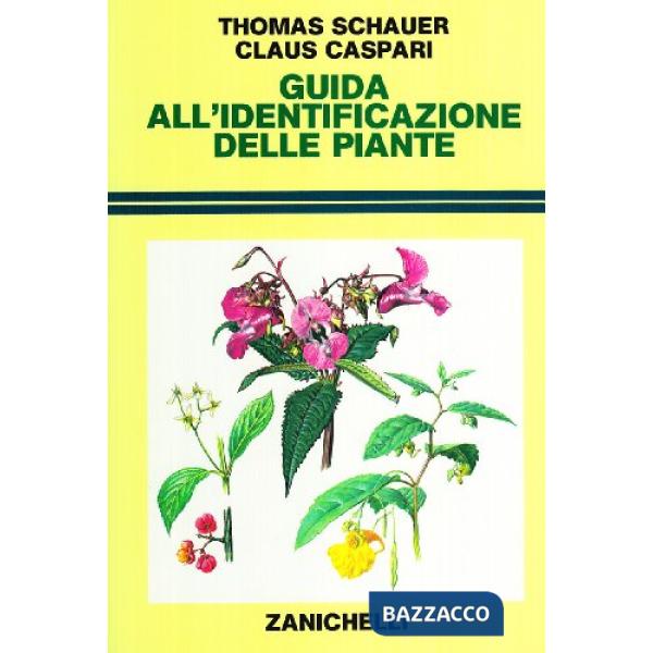 GUIDA IDENTIFICAZIONE PIANTE