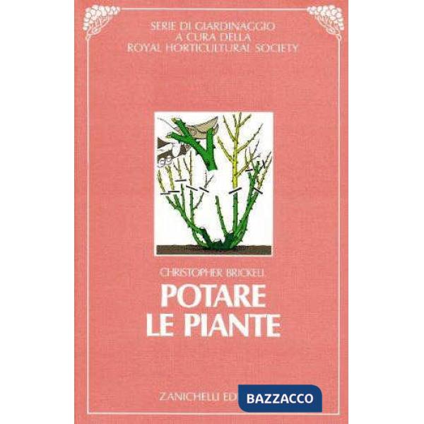 POTARE PIANTE