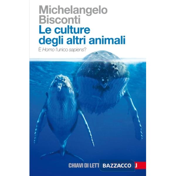 CULTURE ANIMALI
