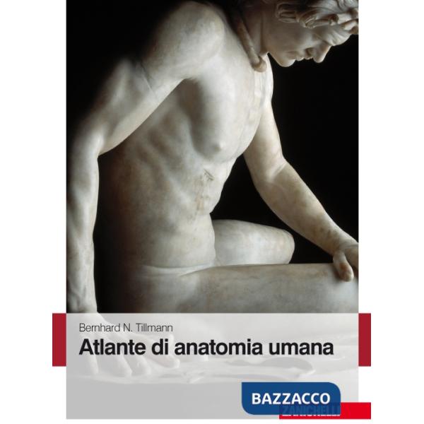 ATLANTE ANATOMIA UMANA