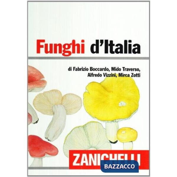FUNGHI D'ITALIA