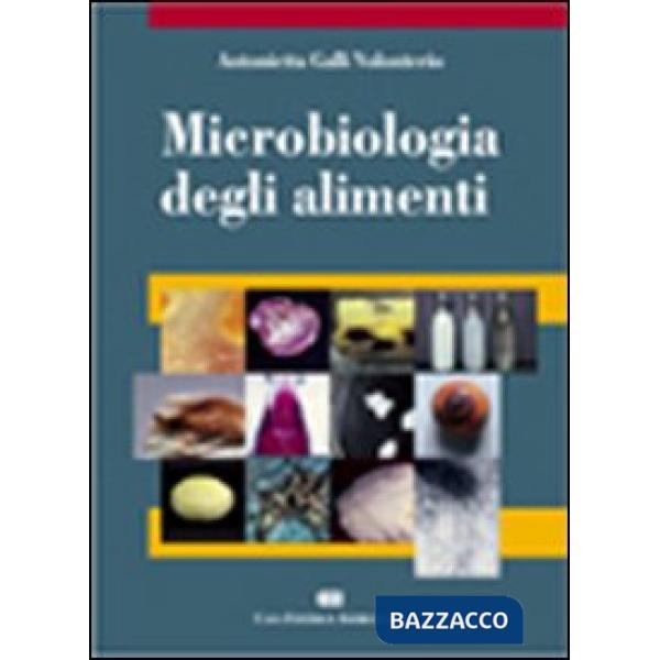 MICROBIOLOGIA DEGLI ALIMENTI