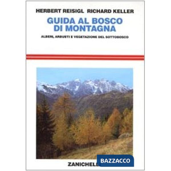 GUIDA BOSCO IN MONTAGNA