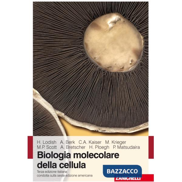 BIOL MOL CELLULA 3ED