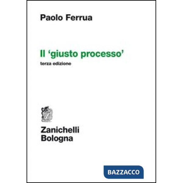 IL GIUSTO PROCESSO 3ED