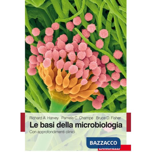 BASI MICROBIOL
