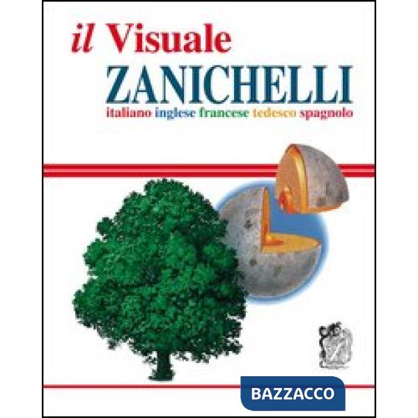 IL VISUALE ZANICHELLI V.U.
