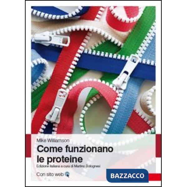 COME FUNZ LE PROTEINE