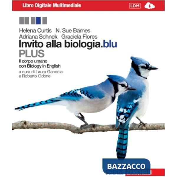 INVITO BLU CORPO PLUS