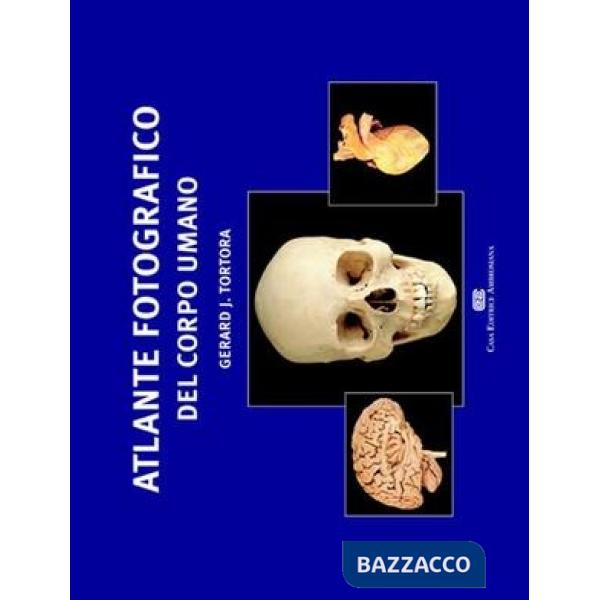 ATLANTE ANATOMIA FISIOLOGIA