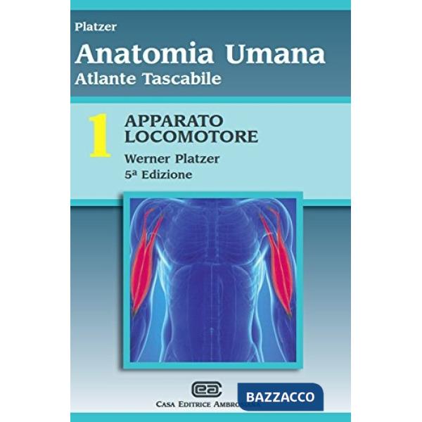 ATL ANATOMIA 1-LOCOMOT. 5E (CEA)