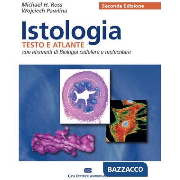 ISTOLOGIA TESTO ATLANTE 2E (CEA)