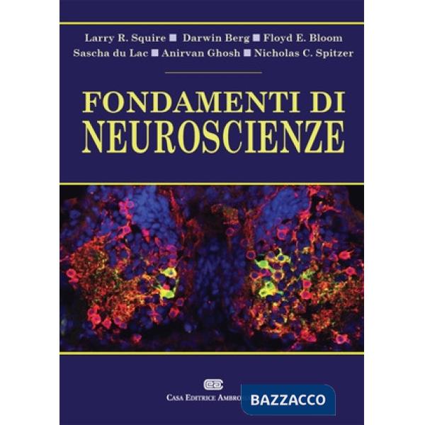 FONDAMENTI DI NEUROSCIENZE