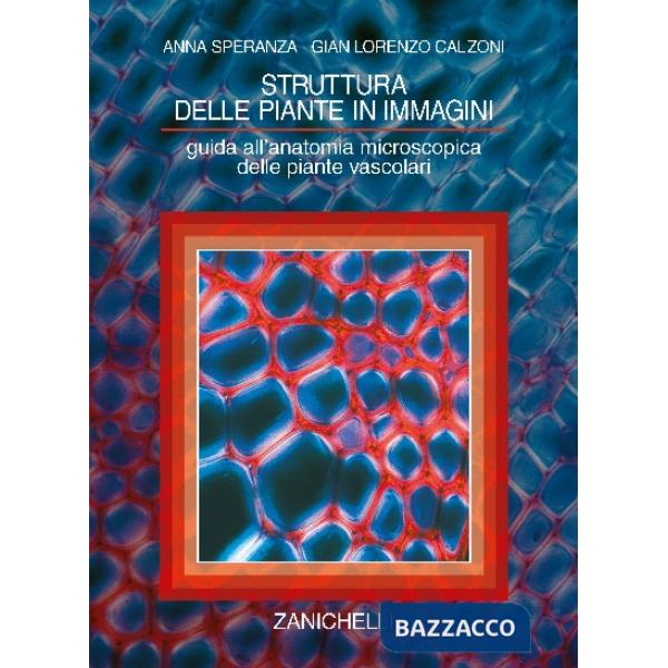 SPERANZA/CALZONI/STR PIANTE + CD ROM