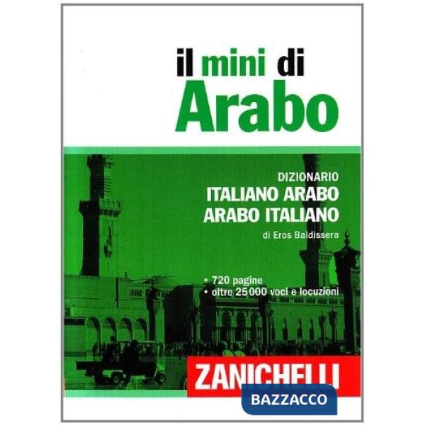 IL MINI DI ARABO V. U.