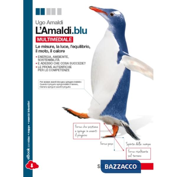 L'AMALDI. BLU V. U.