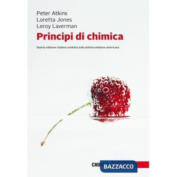 JONES*PRINC CHIMICA 4ED LUMK