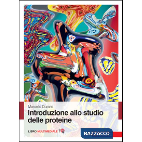 INTR STUDIO PROTEINE LUM