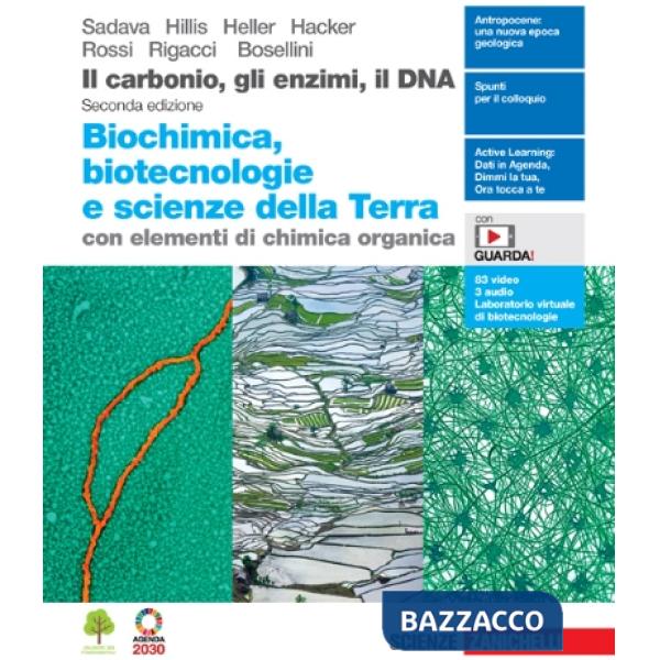 ILCARBONIO GLI ENZIMI IL DNA. BIOCHIMICA BIOTECNOLOGIE E SCIENZE DELLA