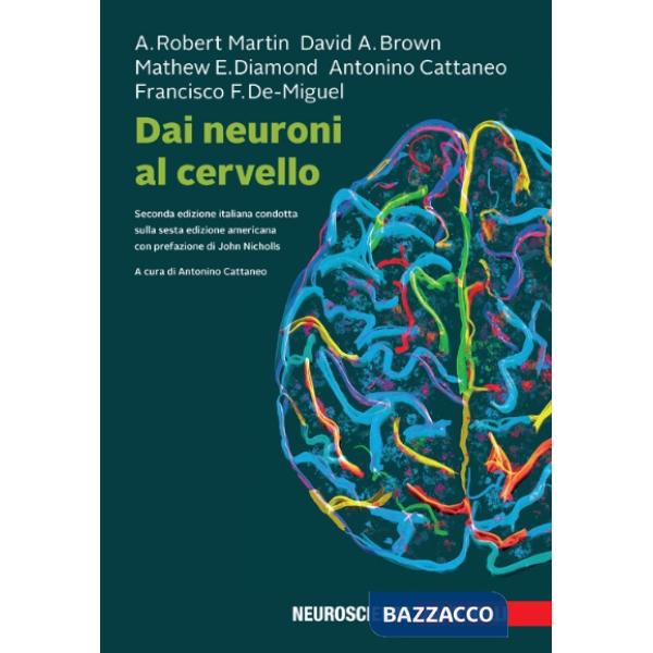 DAI NEURONI AL CERVELLO + EB