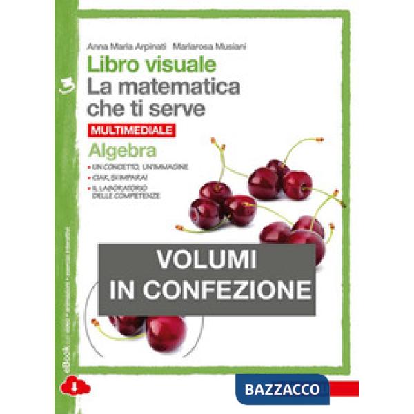LIBRO VISUALE LA MATEMATICA CHE TI SERVE. ALGEBRA-GEOMETRIA 3. PER LA