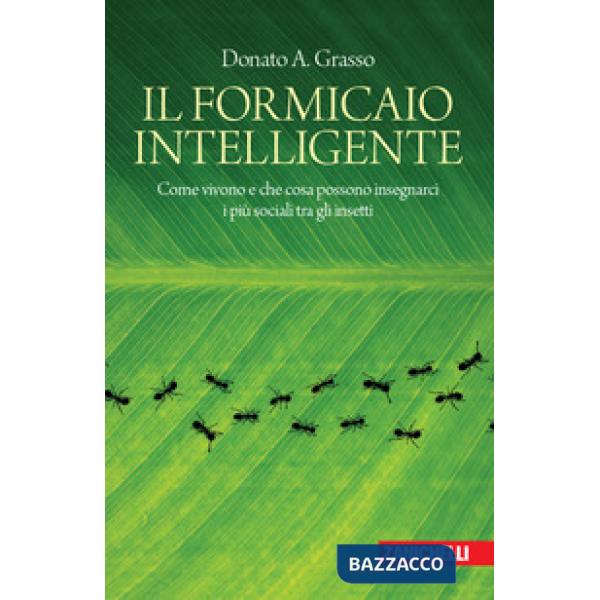 IL FORMICAIO INTELLIGENTE