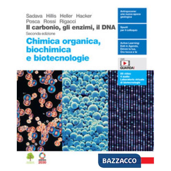 IL CARBONIO GLI ENZIMI IL DNA. CHIMICA ORGANICA BIOCHIMICA E BIOTECNOL
