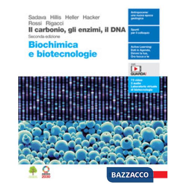 IL CARBONIO GLI ENZIMI IL DNA BIOCHIMICA E BIOTECNOLOGIE