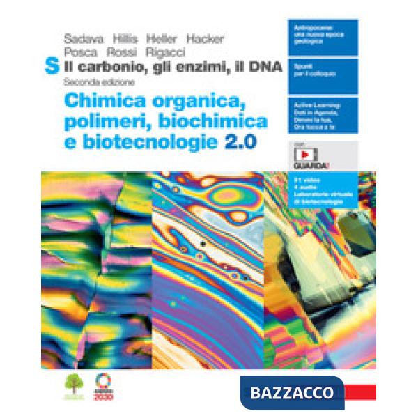 IL CARBONIO GLI ENZIMI IL DNA. CHIMICA ORGANICA POLIMERI BIOCHIMICA BI