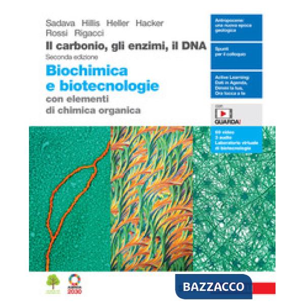 IL CARBONIO GLI ENZIMI IL DNA. BIOCHIMICA E BIOTECNOLOGIE CON CHIMICA