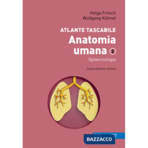 ANATOMIA UMANA 2