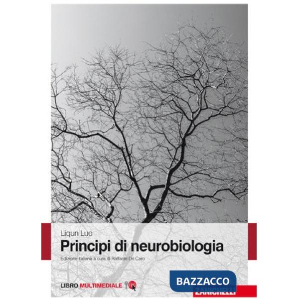 PRINCIPI DI NEUROBIOLOGIA LUM