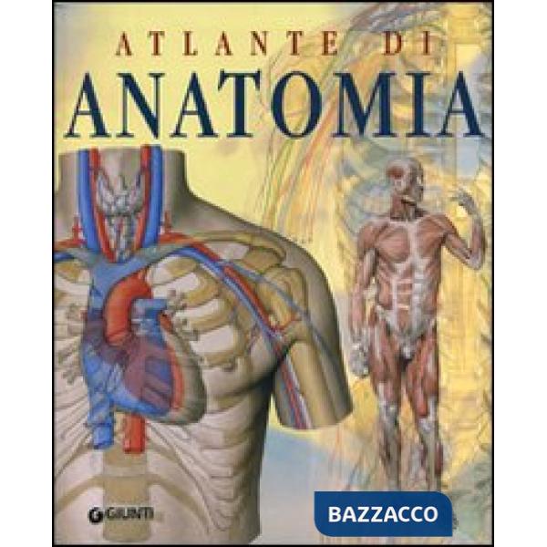 Atlante di anatomia