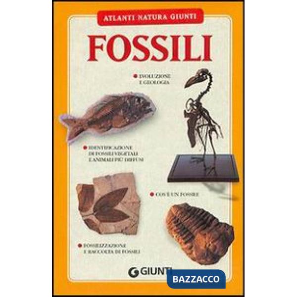 Fossili