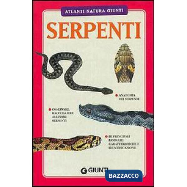 Serpenti