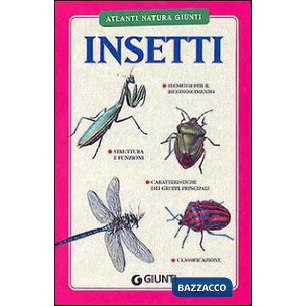 Insetti
