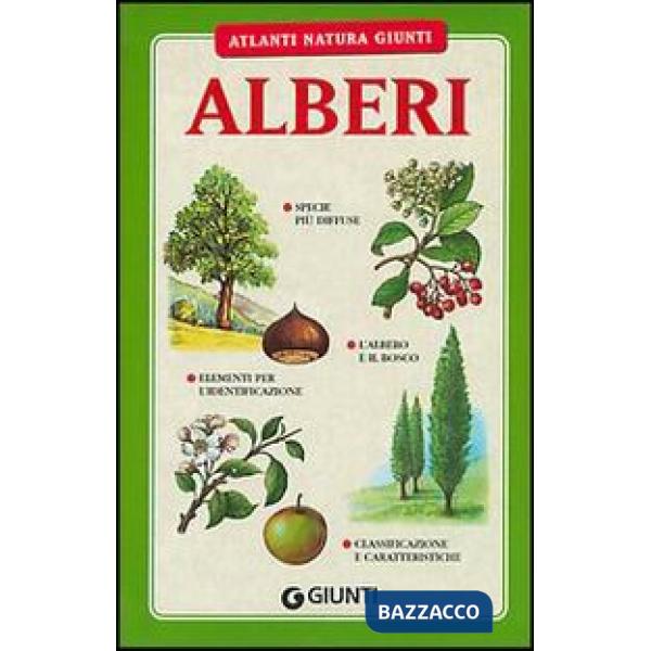 Alberi