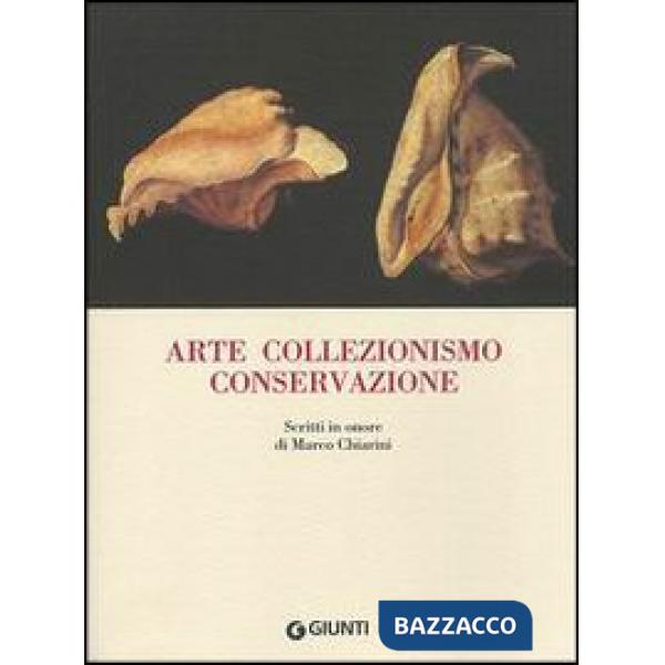 Arte collezionismo conservazione