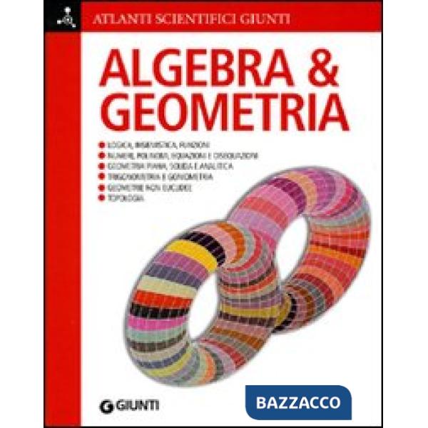 Algebra e geometria