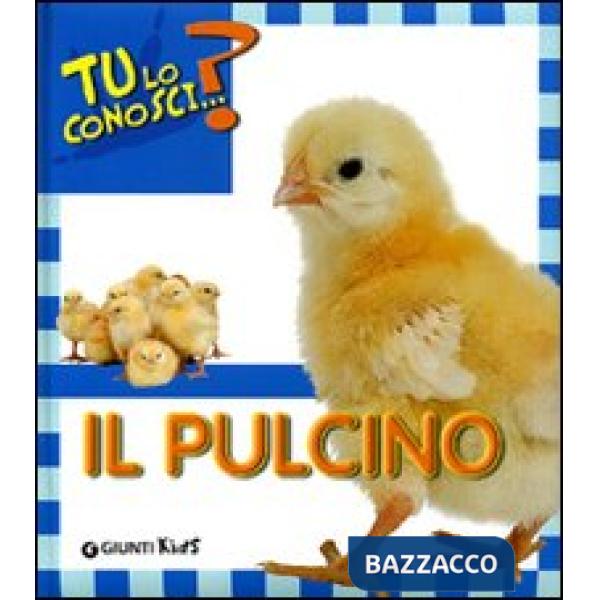 Pulcino. Ediz. illustrata (Il)