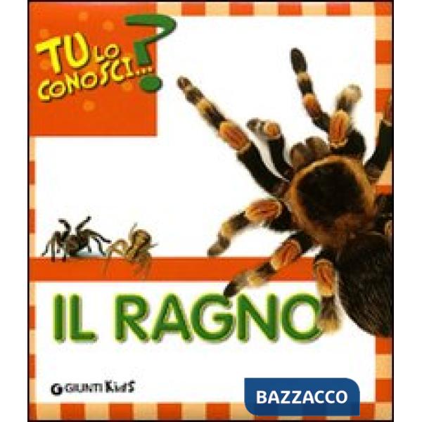 Ragno. Ediz. illustrata (Il)