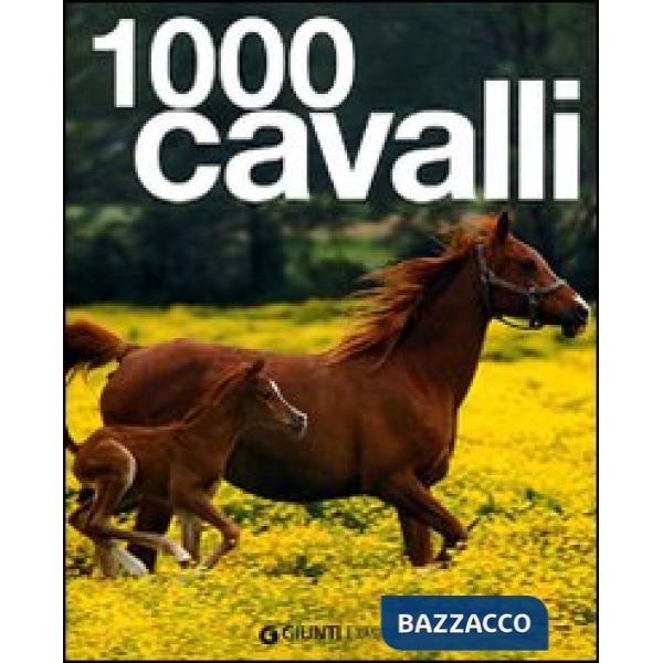 Mille cavalli. Ediz. illustrata