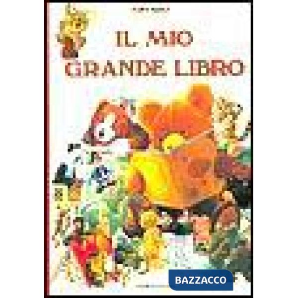 Mio grande libro (Il)