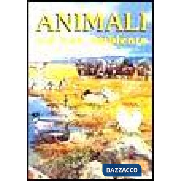 Animali nel loro ambiente