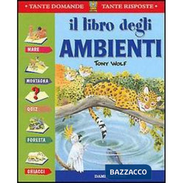Libro degli ambienti (Il)